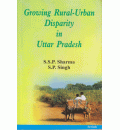 Growing Rural-Urban Disparity in Uttar Pradesh